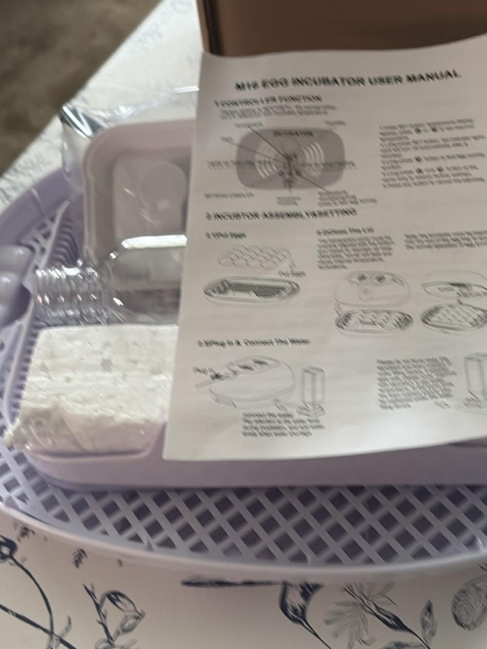 Purple Egg Incubator with Clear Lid